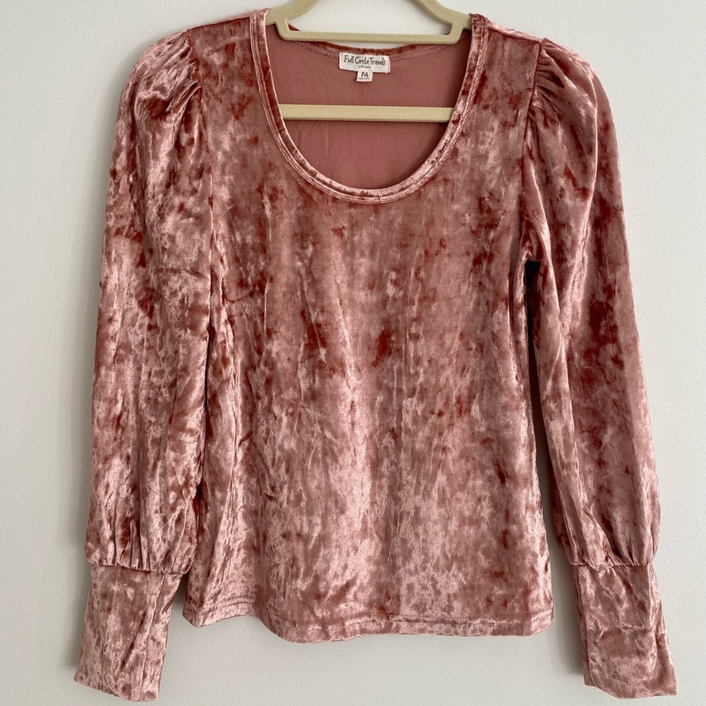 Velvet Puffed Long Sleeve Top (M)